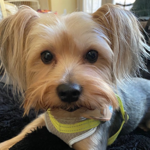 Meet your Posher, Rhonda - Picture 1 of 1